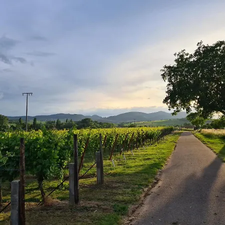 Apartment Mit Schwimmbad Und Sauna