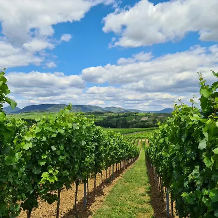 Mit Schwimmbad Und Sauna Apartamento *