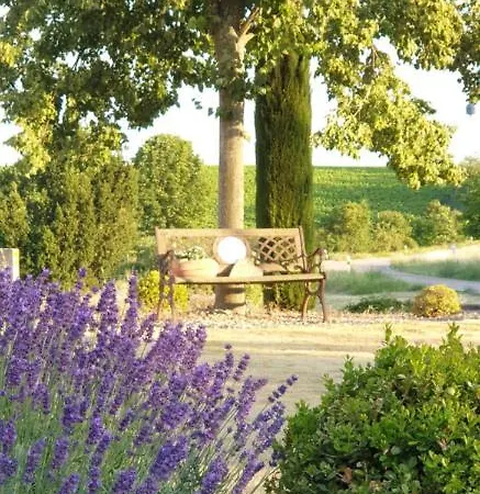 Mit Schwimmbad Und Sauna *