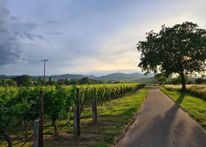 Apartment Mit Schwimmbad Und Sauna