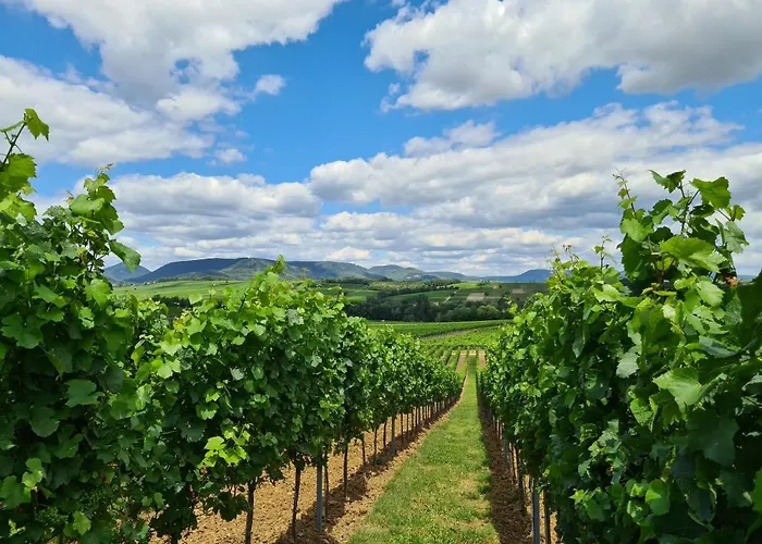 Mit Schwimmbad Und Sauna Apartamento *