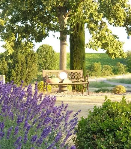 Mit Schwimmbad Und Sauna *